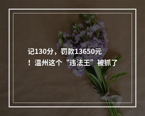 记130分，罚款13650元！温州这个“违法王”被抓了