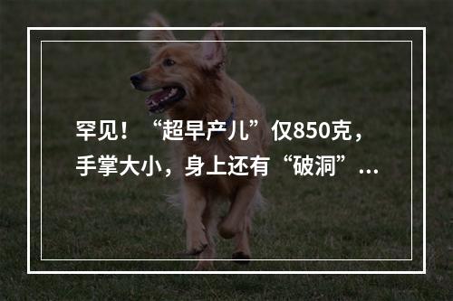 罕见！“超早产儿”仅850克，手掌大小，身上还有“破洞”…