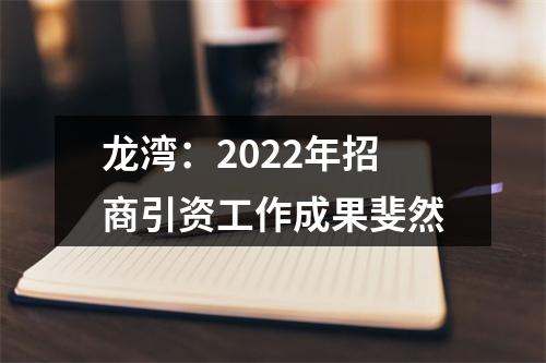 龙湾：2022年招商引资工作成果斐然