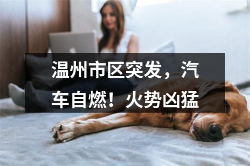 温州市区突发，汽车自燃！火势凶猛