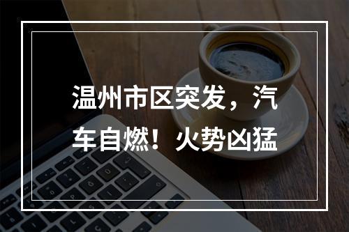 温州市区突发，汽车自燃！火势凶猛