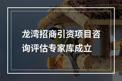 龙湾招商引资项目咨询评估专家库成立