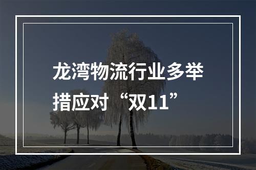 龙湾物流行业多举措应对“双11”
