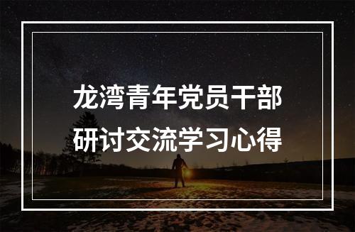 龙湾青年党员干部研讨交流学习心得