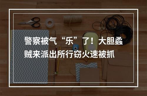警察被气“乐”了！大胆蟊贼来派出所行窃火速被抓