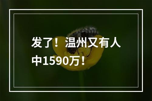 发了！温州又有人中1590万！