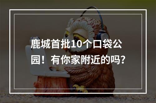 鹿城首批10个口袋公园！有你家附近的吗？