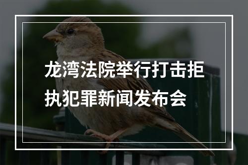 龙湾法院举行打击拒执犯罪新闻发布会