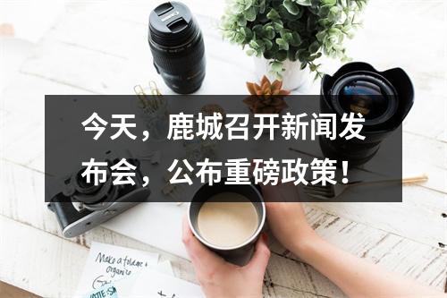 今天，鹿城召开新闻发布会，公布重磅政策！