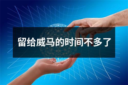 留给威马的时间不多了