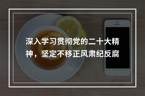 深入学习贯彻党的二十大精神，坚定不移正风肃纪反腐