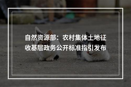 自然资源部：农村集体土地征收基层政务公开标准指引发布