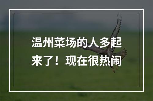 温州菜场的人多起来了！现在很热闹