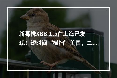 新毒株XBB.1.5在上海已发现！短时间“横扫”美国，二次感染风险增强？最新 ...