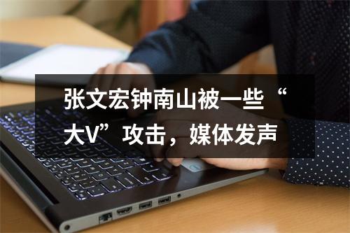 张文宏钟南山被一些“大V”攻击，媒体发声