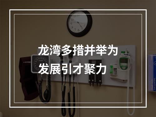 龙湾多措并举为发展引才聚力