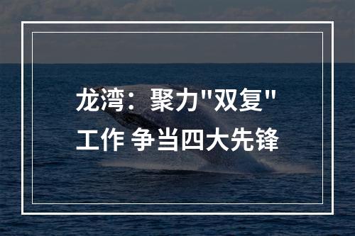 龙湾：聚力