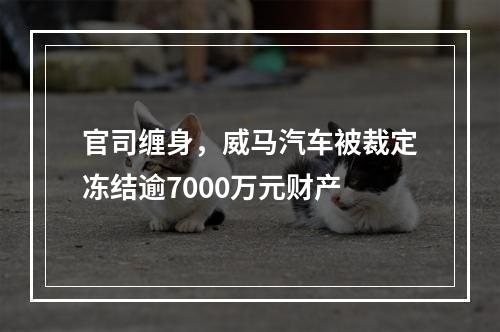 官司缠身，威马汽车被裁定冻结逾7000万元财产