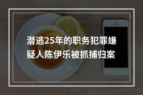 潜逃25年的职务犯罪嫌疑人陈伊乐被抓捕归案