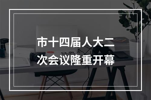 市十四届人大二次会议隆重开幕
