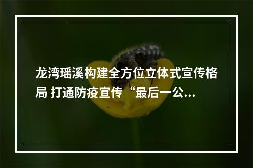 龙湾瑶溪构建全方位立体式宣传格局 打通防疫宣传“最后一公里”