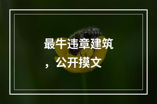 最牛违章建筑，公开摸文