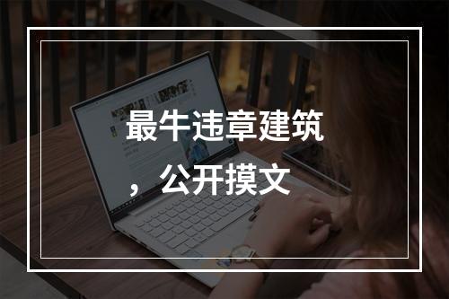 最牛违章建筑，公开摸文