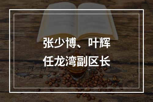 张少博、叶辉任龙湾副区长