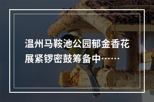 温州马鞍池公园郁金香花展紧锣密鼓筹备中……