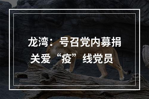 龙湾：号召党内募捐 关爱“疫”线党员
