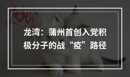 龙湾：蒲州首创入党积极分子的战“疫”路径
