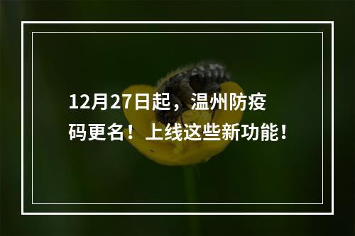 12月27日起，温州防疫码更名！上线这些新功能！