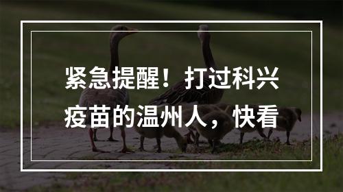 紧急提醒！打过科兴疫苗的温州人，快看
