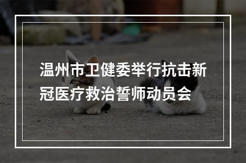 温州市卫健委举行抗击新冠医疗救治誓师动员会