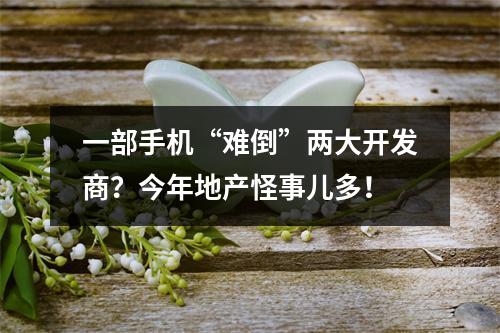 一部手机“难倒”两大开发商？今年地产怪事儿多！