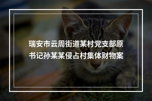 瑞安市云周街道某村党支部原书记孙某某侵占村集体财物案