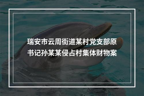 瑞安市云周街道某村党支部原书记孙某某侵占村集体财物案