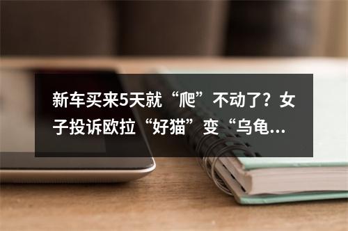 新车买来5天就“爬”不动了？女子投诉欧拉“好猫”变“乌龟”