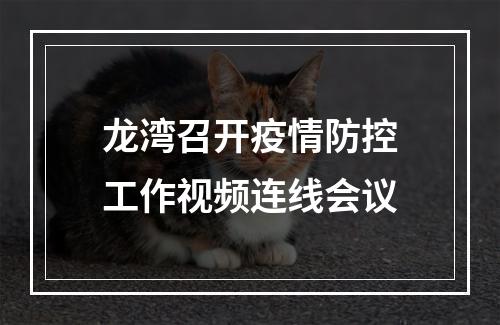 龙湾召开疫情防控工作视频连线会议