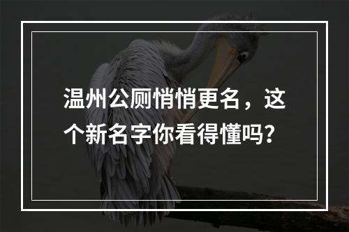 温州公厕悄悄更名，这个新名字你看得懂吗？