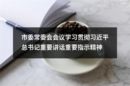 市委常委会会议学习贯彻习近平总书记重要讲话重要指示精神
