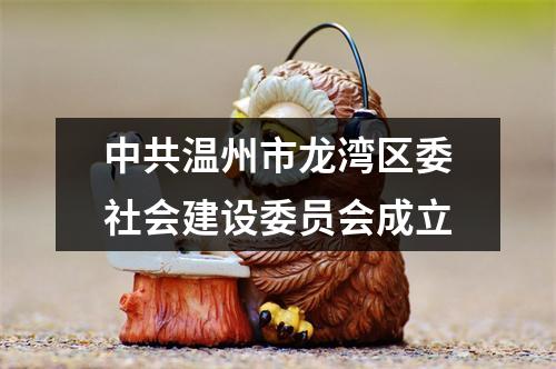 中共温州市龙湾区委社会建设委员会成立