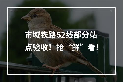 市域铁路S2线部分站点验收！抢“鲜”看！