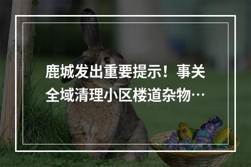 鹿城发出重要提示！事关全域清理小区楼道杂物…