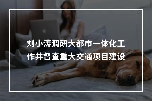刘小涛调研大都市一体化工作并督查重大交通项目建设