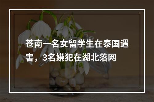 苍南一名女留学生在泰国遇害，3名嫌犯在湖北落网