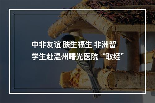 中非友谊 肤生福生 非洲留学生赴温州曙光医院“取经”