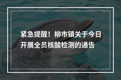 紧急提醒！柳市镇关于今日开展全员核酸检测的通告