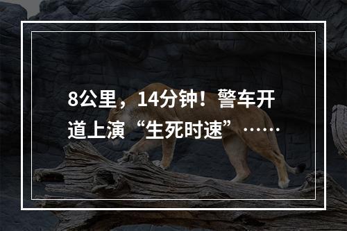 8公里，14分钟！警车开道上演“生死时速”……