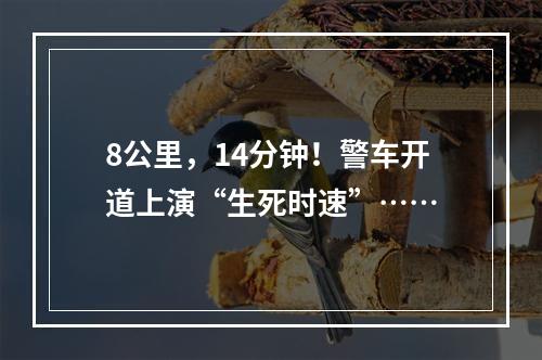 8公里，14分钟！警车开道上演“生死时速”……